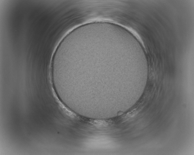 X0000072500911200608111625