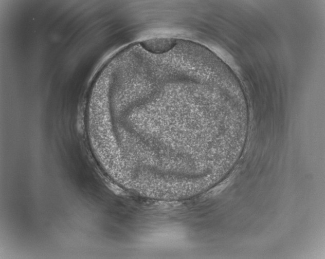 X0000072500912200608111625