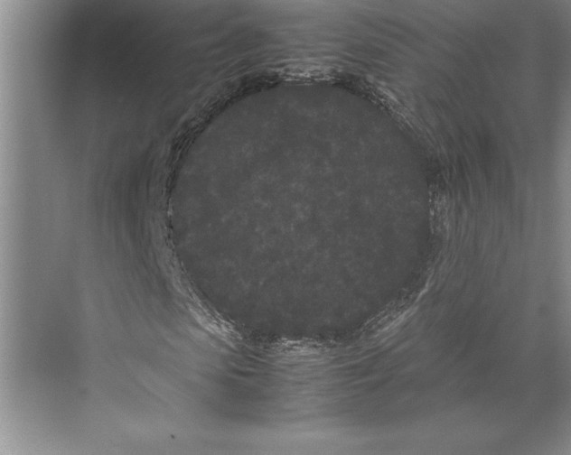 X0000072500913200608111624