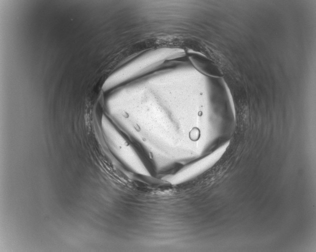 X0000072500914200608111624