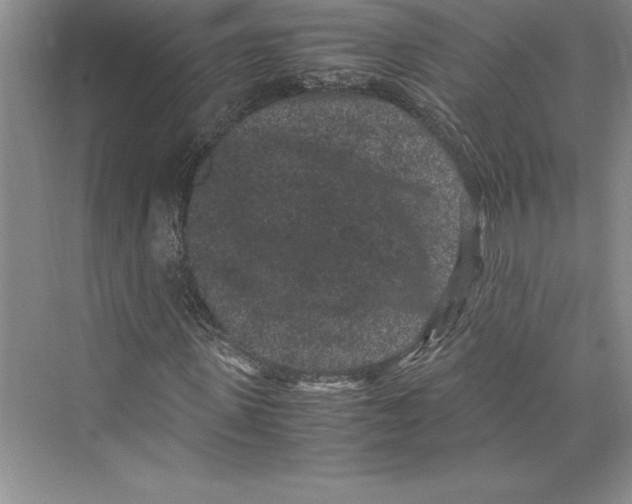 X0000072500915200608111624