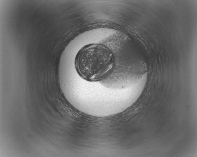 X0000072500916200608111624