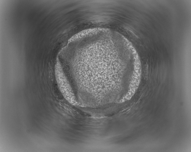 X0000072500917200608111624