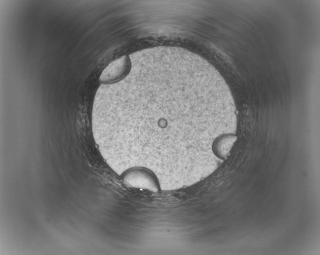 X0000072500918200608111624