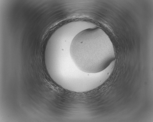 X0000072500920200608111624