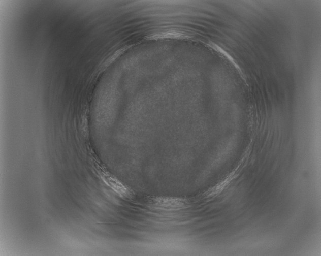 X0000072500921200608111624