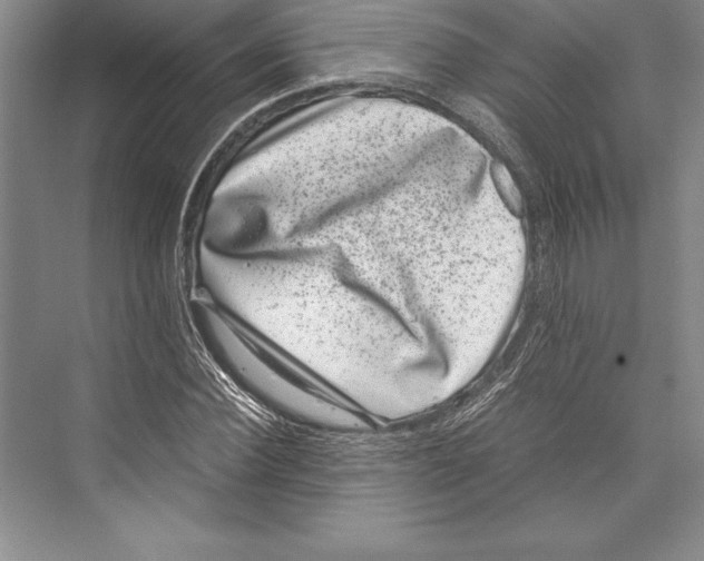 X0000072500924200608111624