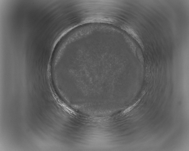 X0000072500928200608111624