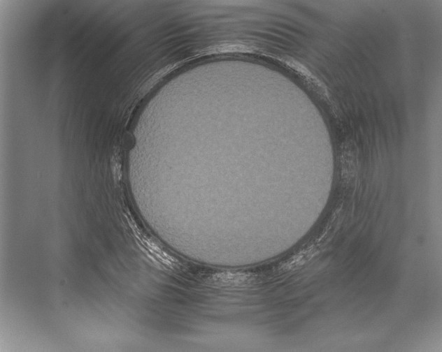 X0000072500929200608111624