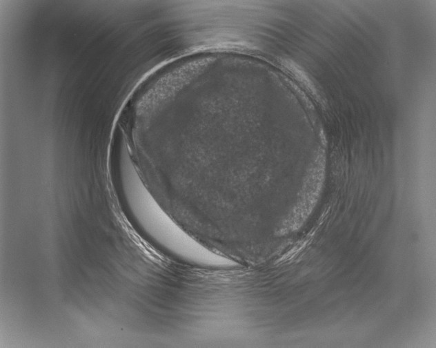 X0000072500932200608111624