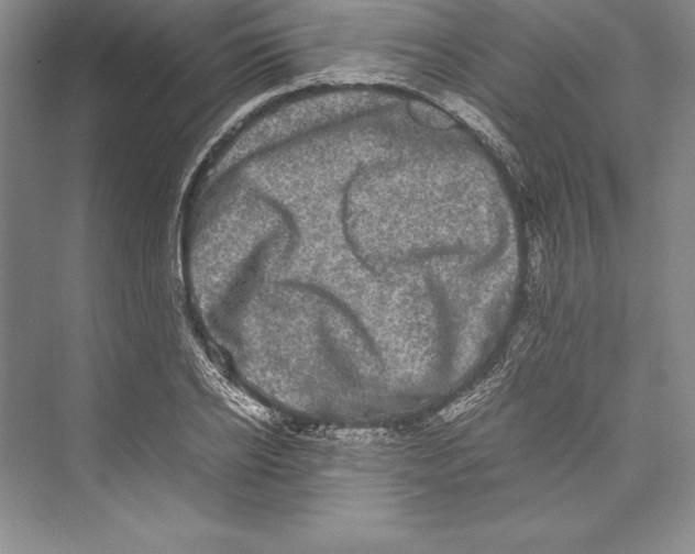 X0000072500934200608111624