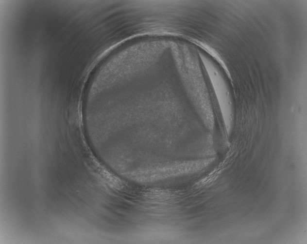 X0000072500935200608111624