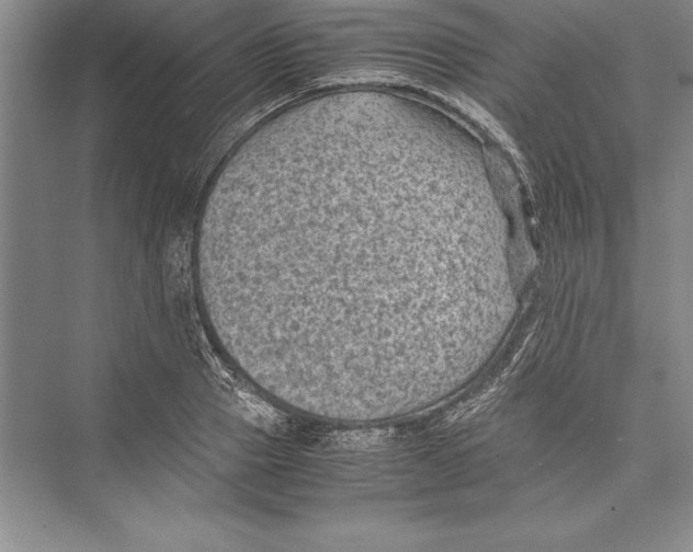 X0000072500937200608111624