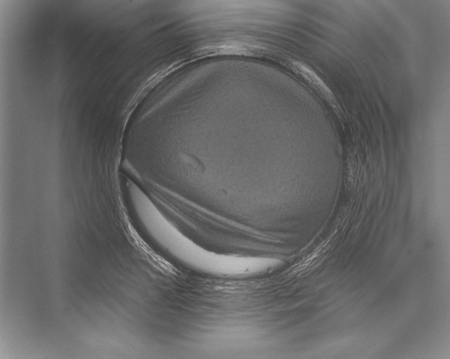 X0000072500938200608111624