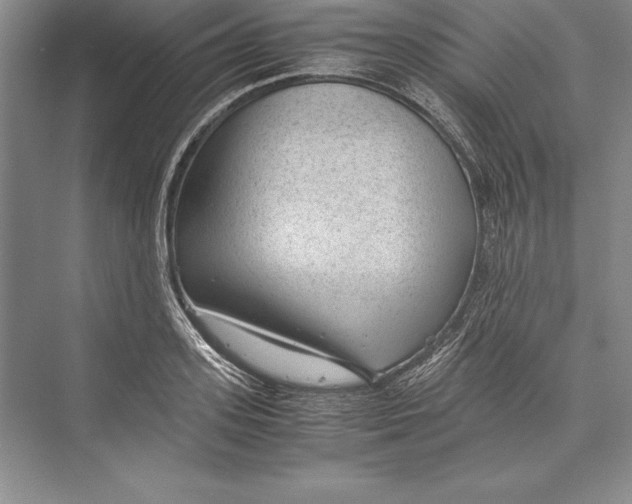 X0000072500939200608111624