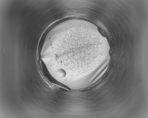 X0000072500940200608111624