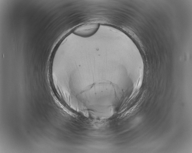 X0000072500941200608111624