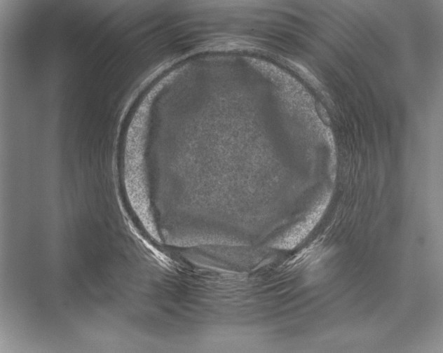 X0000072500943200608111624