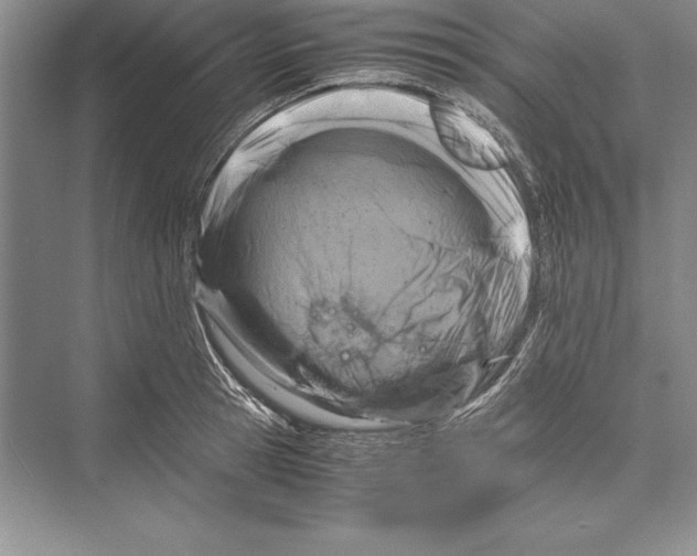 X0000072500945200608111624