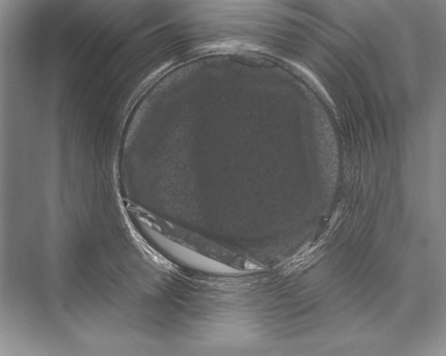 X0000072500946200608111624