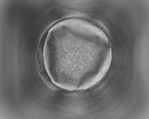 X0000072500948200608111624