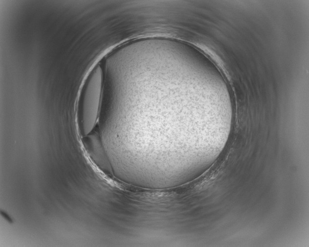 X0000072500949200608111624