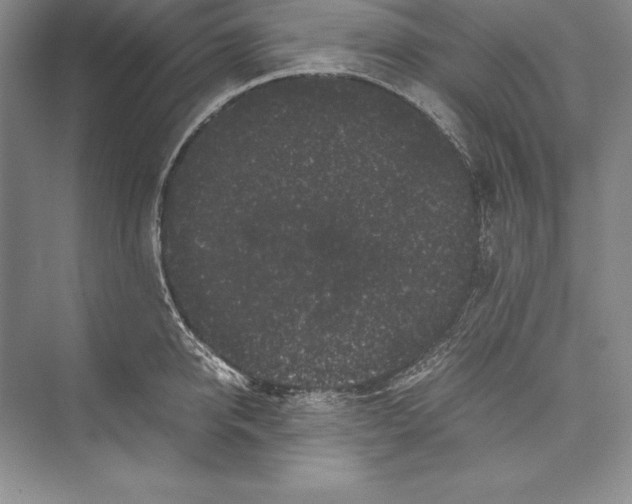 X0000072500950200608111624