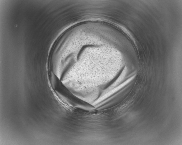 X0000072500951200608111624