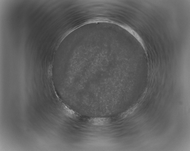 X0000072500953200608111625