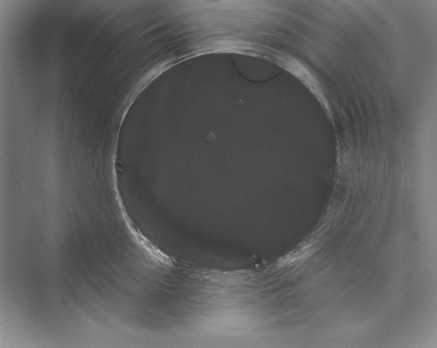 X0000072500954200608111625