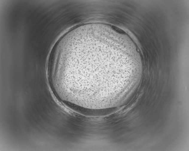 X0000072500957200608111625