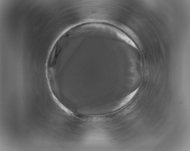 X0000072500958200608111625