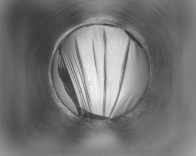 X0000072500960200608111625