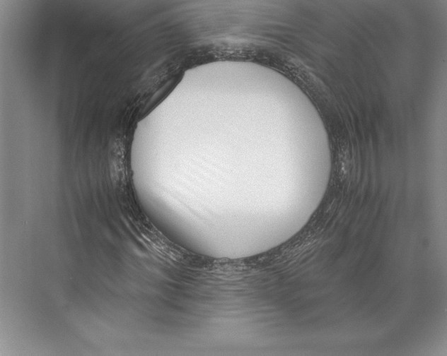 X0000072500964200608111624