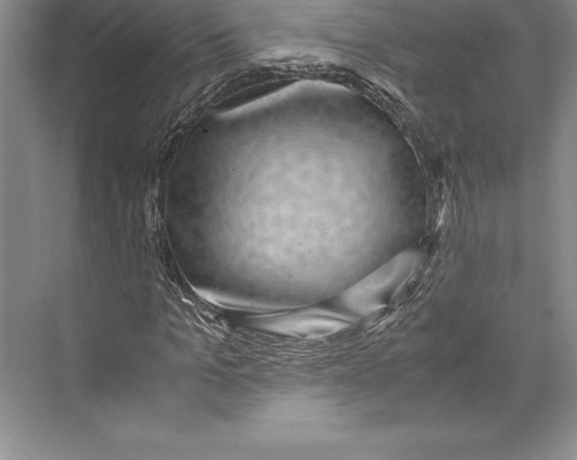 X0000072500965200608111624