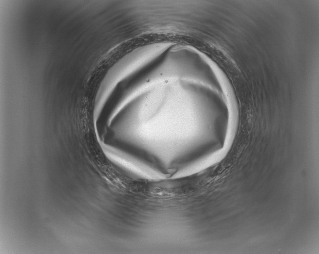 X0000072500968200608111624