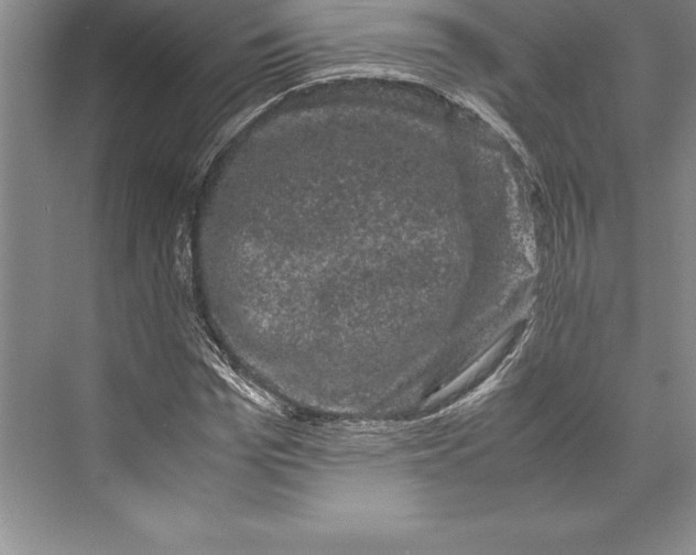 X0000072500969200608111624