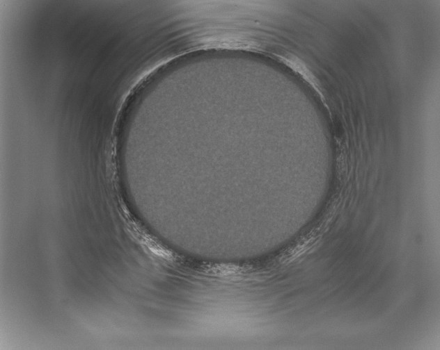 X0000072500971200608111624