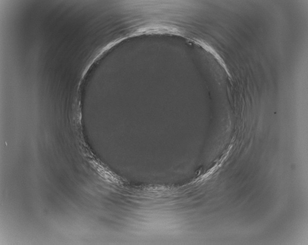 X0000072500973200608111624