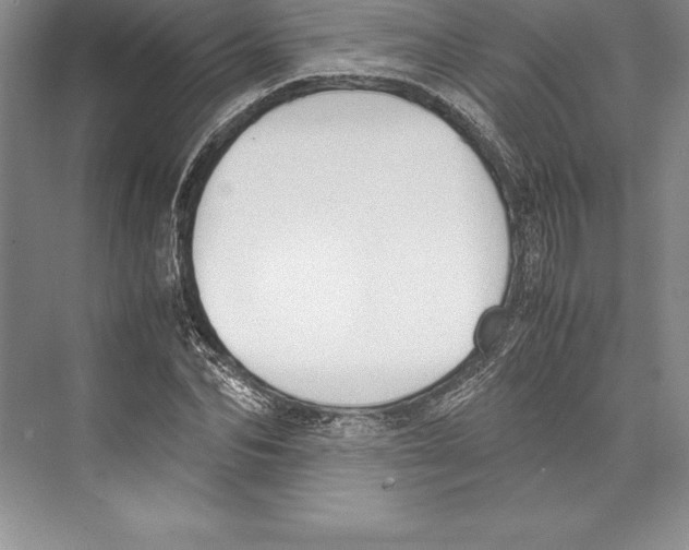 X0000072500974200608111624