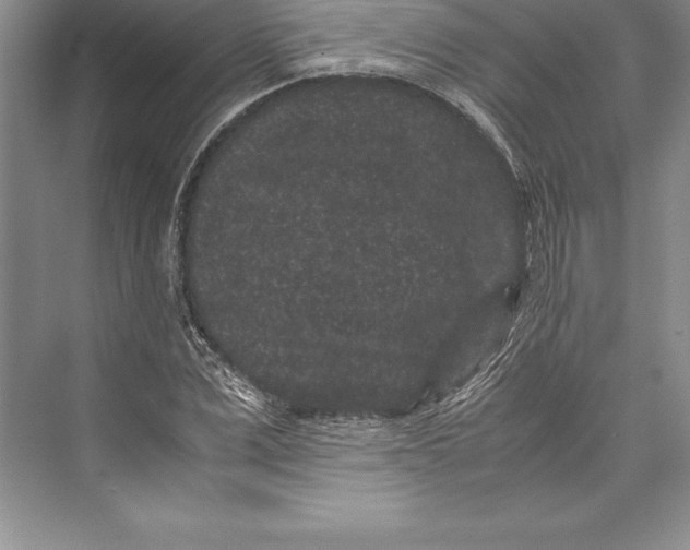 X0000072500975200608111624