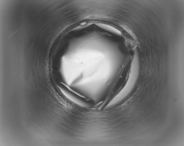 X0000072500976200608111624