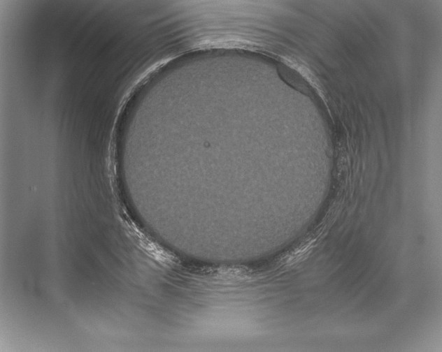 X0000072500979200608111624