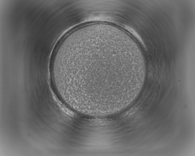 X0000072500980200608111624