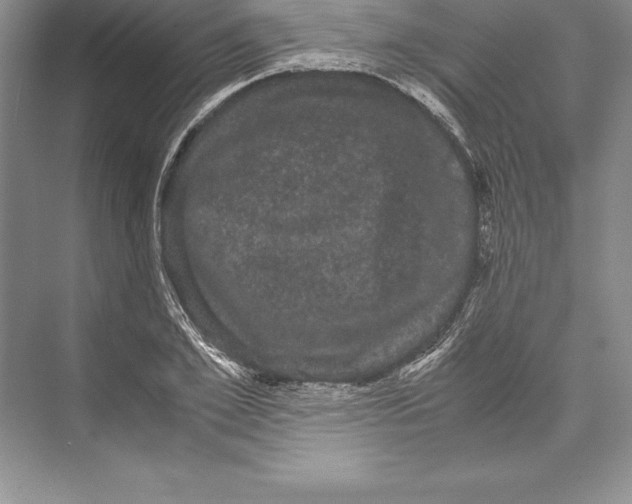 X0000072500981200608111623