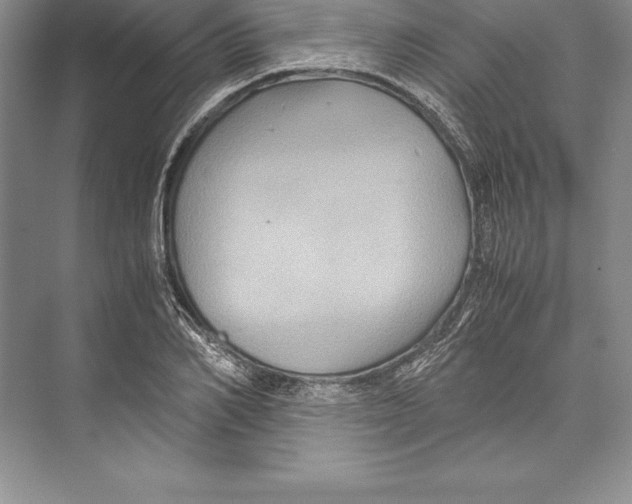 X0000072500982200608111623