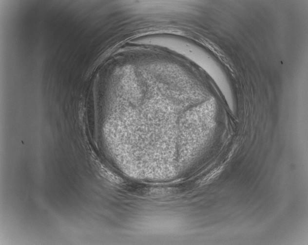 X0000072500985200608111623