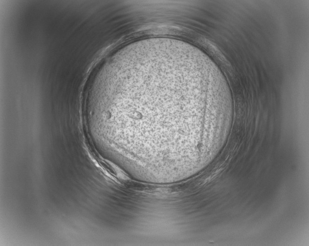 X0000072500986200608111623