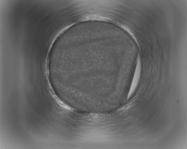 X0000072500987200608111623