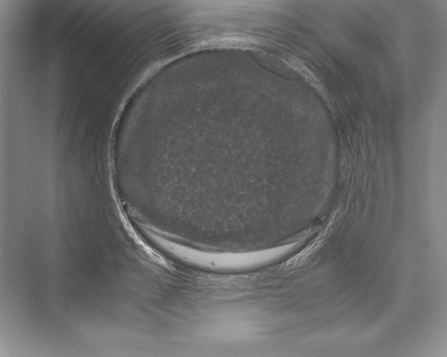 X0000072500989200608111623